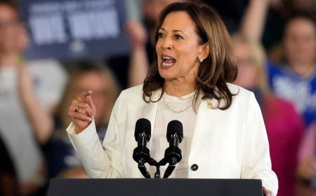 Kamala Harris shuts down anti-Israel protesters during campaign speech in Michigan: 'I'm speaking'