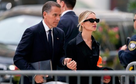 DOJ contends Hunter Biden was hired by Romanian oligarch to 'influence US policy:' docs