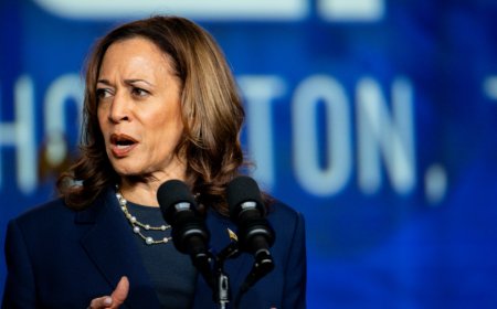 Harris responds to Gaza protesters at rally: ‘I am speaking now’