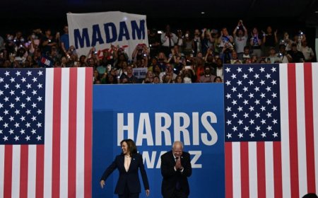 Nearly $1 million in Harris-Walz camo hats sold since Tuesday launch