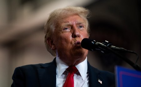 Will Be "Peaceful Transfer" Of Power If...: Trump