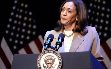 Harris adviser denies support for cutting off weapons transfers to Israel