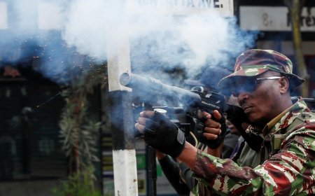 Police fire tear gas at protesters as new Kenya cabinet is sworn in