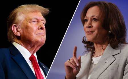 CNN mocked for article accusing Trump campaign of trying to 'goad' Harris into doing an interview