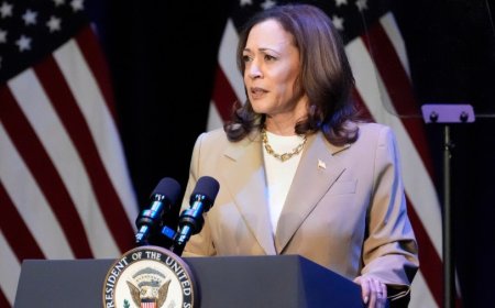 Harris camp shuts down talk of Israel arms embargo