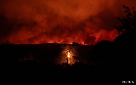 Raging Wildfire Forces Dozens To Evacuate In Greece