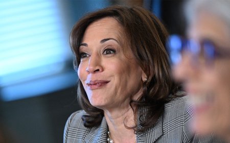 MSNBC host rebukes reporters 'whining' over Harris' press avoidance, wonders if she can win 'without them'