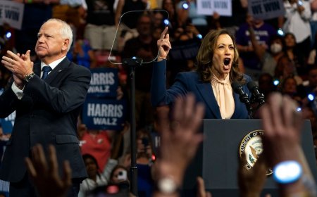 Harris campaign fires back at Trump after he accuses her of faking 'massive' crowd sizes 