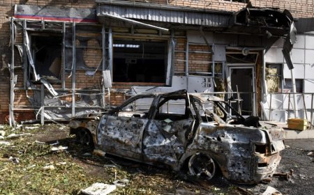 Zelensky confirms Ukrainian troops are fighting in Russia  