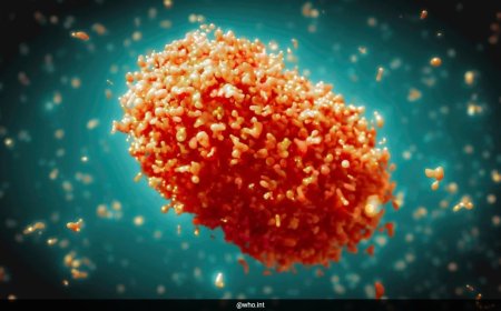 Explained In 5 Points: Monkeypox Virus Infection, Symptoms And Prevention
