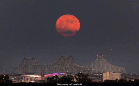 Elon Musk Says 1st Supermoon Of 2024, Also A Blue Moon, "Looks Amazing"