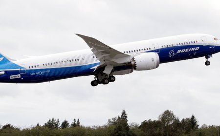 US orders inspections of Boeing 787 planes following midair plunge