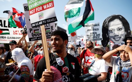 Democratic Convention protesters to Harris: Israel arms embargo or no vote