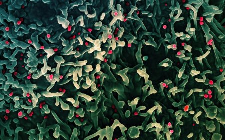 What is mpox and how do you protect yourself?