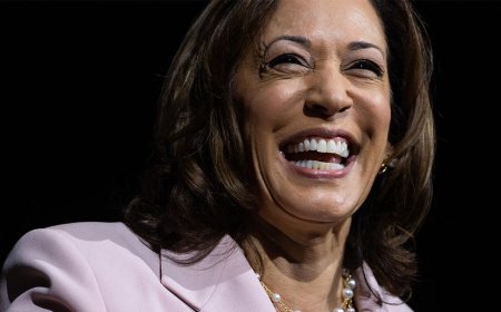 30 Days: Kamala Harris has not held a press conference since emerging as presumptive Democratic nominee