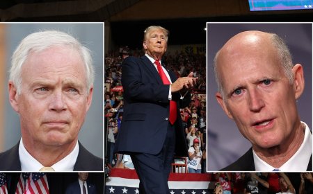 GOP senators kick off Trump campaign DNC counter-programming: Harris 'doesn't have a clue'