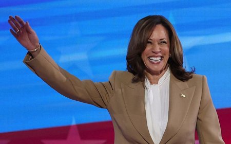 VP Harris praises Biden in surprise remarks at DNC's opening night: 'We are forever grateful to you'