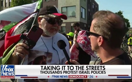 Man waving Hamas flag outside DNC says 'every Palestinian supports Hamas,' praises terror group for October 7