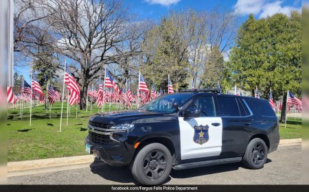 US Woman Tries To Run Over Boyfriend On Way To Couple's Therapy: Report