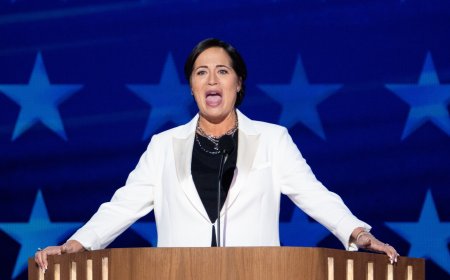 Who are the anti-Trump Republicans showing up at the DNC?