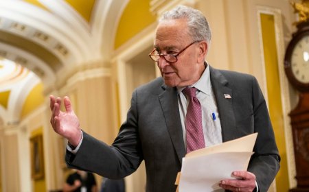 Schumer signals 2025 climate hopes