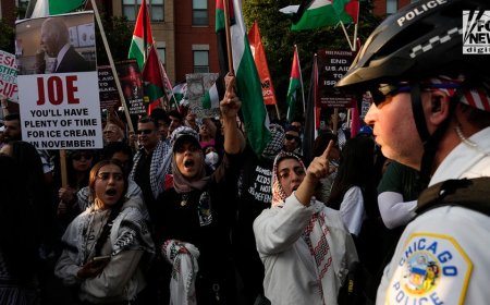 Anti-Israel demonstrations continue near DNC for 3rd night as crowds gather in larger numbers