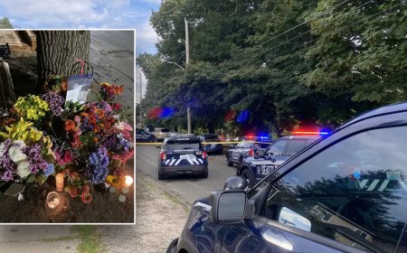 Seattle plumber grabs bat in attempt to stop carjacking suspect accused of killing 80-year-old dog walker