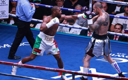 Mayweather dominates Gotti again in Mexico City exhibition boxing rematch