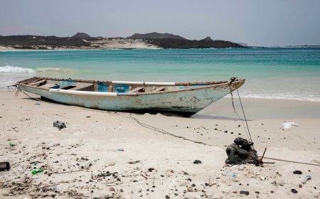 At least 13 killed, 14 missing after boat sinks off Yemen: UN agency