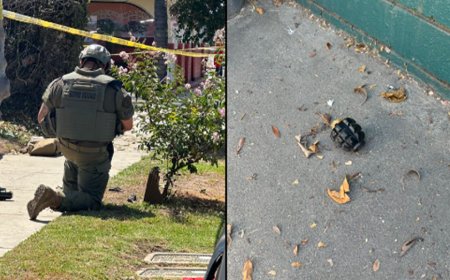California gardener finds 4 Russian-style grenades in bushes near Los Angeles