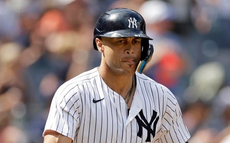 Giancarlo Stanton's broken bat hits umpire in head, knocks him out of game in bizarre scene