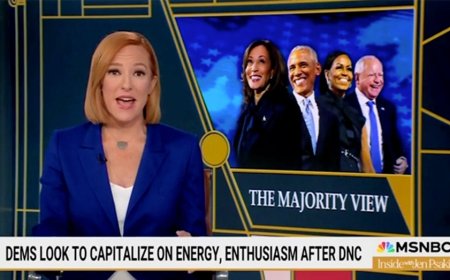 MSNBC's Jen Psaki gushes over Democratic convention, concludes 'that is America'