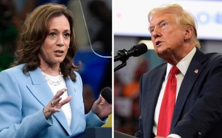 Evening Report – Harris zooms past Trump in election forecast