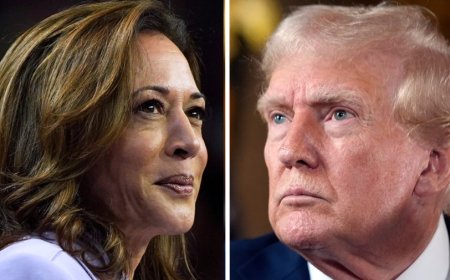 Harris leads Trump, boosts Democrats' chances for House, Senate