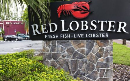 Red Lobster is closing more restaurants. See where they are