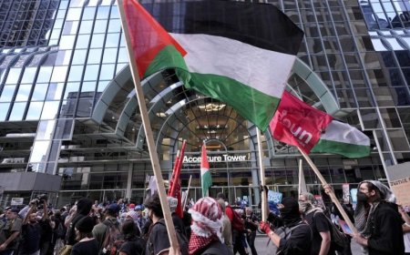 Harris remarks, DNC snub leave pro-Palestinian activists fuming