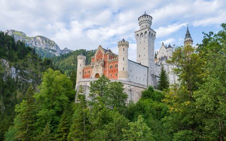 Czech star gymnast dies after falling over 200 feet from mountain while attempting to take selfie: report