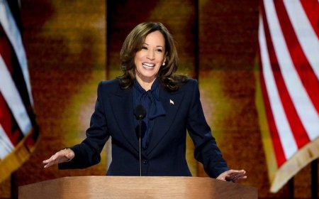 AP panned for saying Harris is 'having it both ways' as a sitting VP, change candidate: 'You're letting her'