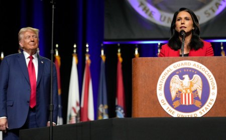 Tulsi Gabbard shares why she endorsed Trump over Kamala Harris: 'Cherish peace and freedom'