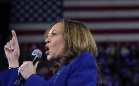 Cook Political Report shifts North Carolina toward Harris