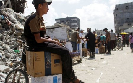 How much worse is the humanitarian crisis becoming in Gaza?