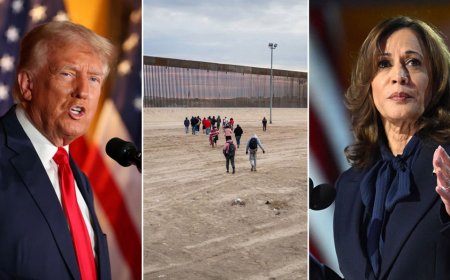 'Total bulls---': Trump campaign rips 'preposterous' Harris pro-border wall narrative after media report