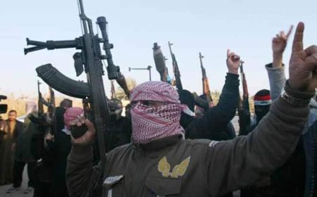 Pak's ISI "Undeniably Complicit" With Terrorists: Ex US Security Advisor