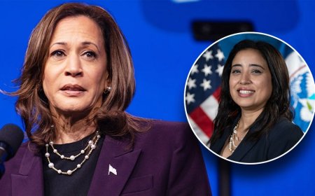 Harris campaign's Arab-American outreach director said 'Zionists' are 'controlling a lot' of American politics