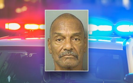 Florida man stabbed off-duty police officer who tried to stop robbery, stole patrol car: court docs