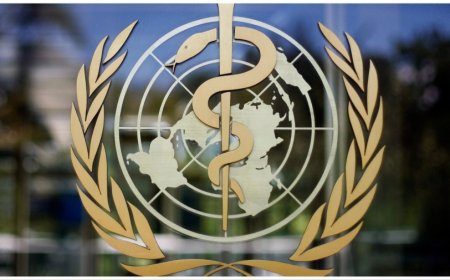 WHO says 'humanitarian pauses' in Gaza will allow for polio vaccine drive to begin Sunday