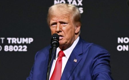 Trump seeks to shift debate on IVF with pricey proposal