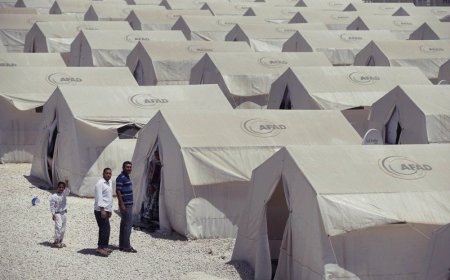 超過十年的夾縫求生：土耳其為何解決不了敘利亞難民問題...