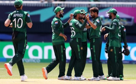 'Doesn't Make Sense To Me': Pakistan Star Reveals He Rejected PCB Selector Job