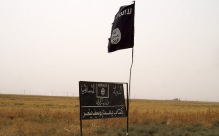 Joint raid targeting Islamic State leaves at least 15 dead, 7 US troops hurt in Iraq